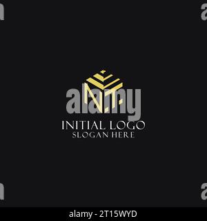 NT initial monogram with hexagon shape logo, creative geometric logo design inspiration Stock Vector