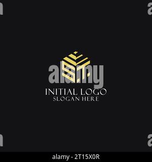 ST initial monogram with hexagon shape logo, creative geometric logo design inspiration Stock Vector