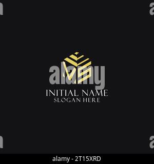 VS initial monogram with hexagon shape logo, creative geometric logo design inspiration Stock Vector