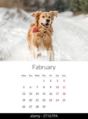 February 2024 year Photo calendar with cute dogs. Annual daily planner template with doggy pets. The week starts on Monday Stock Photo