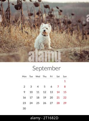 September 2024 year Photo calendar with cute dogs. Annual daily planner template with doggy pets. The week starts on Monday Stock Photo