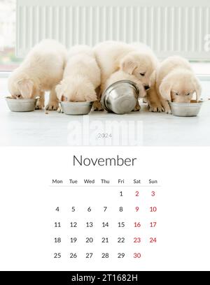 November 2024 year Photo calendar with cute dogs. Annual daily planner template with doggy pets. The week starts on Monday Stock Photo