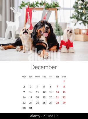 December 2024 year Photo calendar with cute dogs. Annual daily planner template with doggy pets. The week starts on Monday Stock Photo