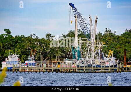 Shrimp boats are docked on the Pascagoula River, Oct. 7, 2023, in Pascagoula, Mississippi. Pascagoula is known as a major shipbuilding center. Stock Photo