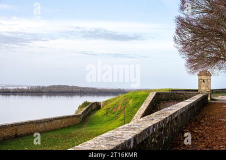 View of Ile Nouvelle in the Gironde estuary from the Citadelle de Blaye in autumn, Nouvelle-Aquitaine, France Stock Photo