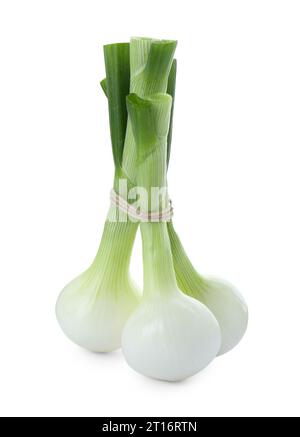 Bunch of fresh green spring onion isolated on white Stock Photo