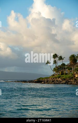 Golden sands meet turquoise waves in this Hawaiian paradise. Palm trees sway under the endless blue sky, inviting you to unwind on the tranquil beach. Stock Photo