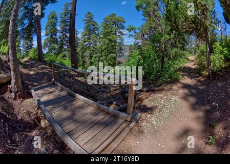 A wooden bridge along the Transept Trail on the North Rim of Grand Canyon Arizona. Stock Photo