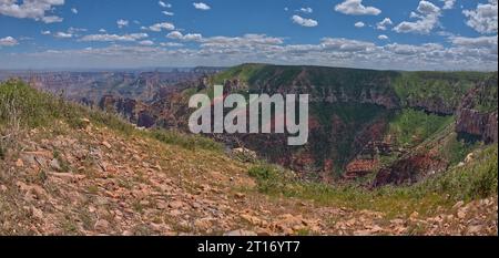 Point Imperial Grand Canyon North Rim Arizona in the distance viewed from the summit of Saddle Mountain on the north edge of the park. Stock Photo