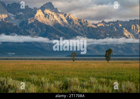 Hanging Clouds and Lone Trees on the grassy plains at the base of the mountains in the Grand Tetons National Park in Wyoming Stock Photo