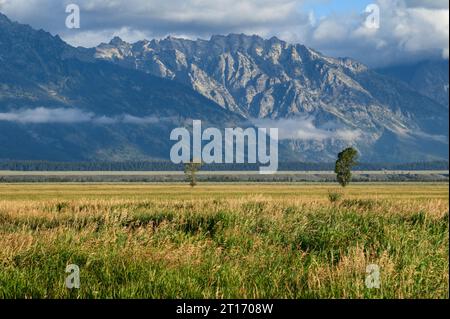 Hanging Clouds and Lone Trees on the grassy plains at the base of the mountains in the Grand Tetons National Park in Wyoming Stock Photo