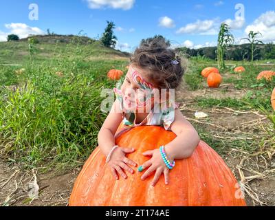 Little girl picking pumpkins on Halloween pumpkin patch. Child playing in field of squash, Thanksgiving holiday season. Stock Photo