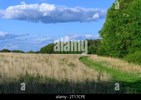 Hiking trail near the city of jena in thuringia, germany Stock Photo