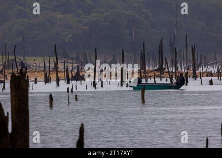 Royal Belum Perak Malaysia Stock Photo