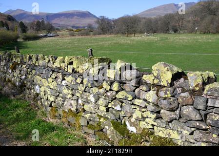 Cumbria, England, UK. Typical scene in the North Western Lake District near Bassenthwaite Stock Photo