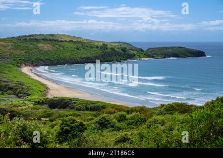 Killalea Beach (The Farm Beach), Killalea Regional Park, Shell Cove, New South Wales, Australia Stock Photo