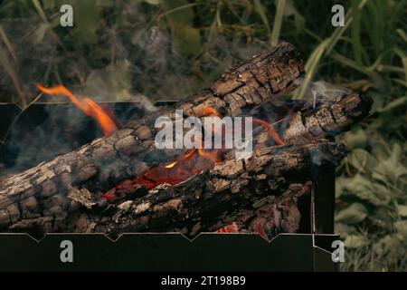 Firewood in the forest. Barbecue grill on the lawn. Burning logs on the grill. Autumn picnic. Fireplace with flame and smoke. Camping with BBQ. Stock Photo