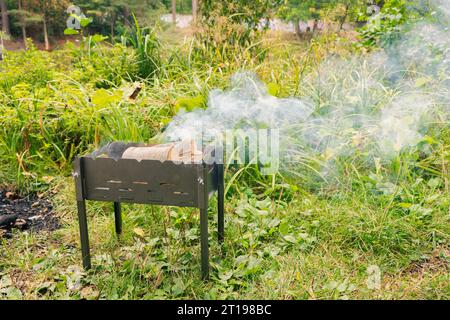 Firewood in the forest. Barbecue grill on the lawn. Burning logs on the grill. Autumn picnic. Fireplace with flame and smoke. Camping with BBQ. Stock Photo