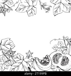 Square frame on an autumn theme. Pumpkins and pumpkin leaves hand drawn in graphics on a white background. Whole pumpkin, pumpkin slice, leaves Stock Vector