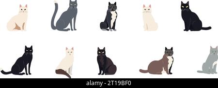 Set of flat illustration of cats isolated on white background, vector illustration Stock Vector