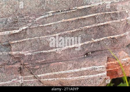 Granodiorite porphyry. Porphyry is a texture of igneous rocks ...