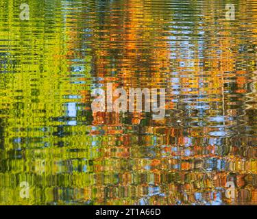 Reflections of trees and autumn colors of green and orange on a pond at Centre Island in Toronto, Ontario Stock Photo