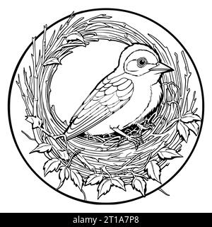 Bird Sits in a Nest Coloring Page Graphic by MyCreativeLife