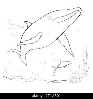 Blue Whale Coloring Pages Drawing For Kids Stock Vector