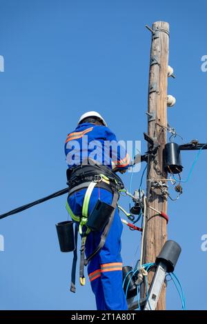 electrician wearing a belt and hardhat on a ladder on a wooden pole repairing electricity Stock Photo