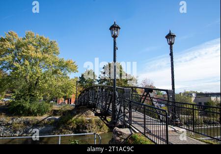 Salmon Run in Ganaraska River. Port Hope, ON. Canada Stock Photo