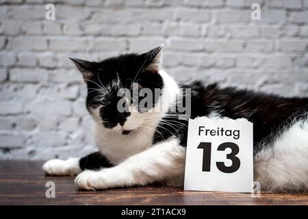 Augsburg, Bavaria, Germany. 12th Oct, 2023. Black cat with a calendar with date Friday the 13th unlucky Friday the thirteenth PHOTOMONTAGE *** Schwarze Katze mit einem Kalender mit Datum Freitag der 13. Unglückstag Freitag der Dreizehnte FOTOMONTAGE Credit: Imago/Alamy Live News Stock Photo