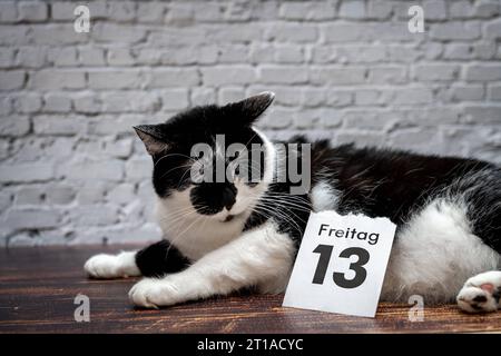 Augsburg, Bavaria, Germany. 12th Oct, 2023. Black cat with a calendar with date Friday the 13th unlucky Friday the thirteenth PHOTOMONTAGE *** Schwarze Katze mit einem Kalender mit Datum Freitag der 13. Unglückstag Freitag der Dreizehnte FOTOMONTAGE Credit: Imago/Alamy Live News Stock Photo