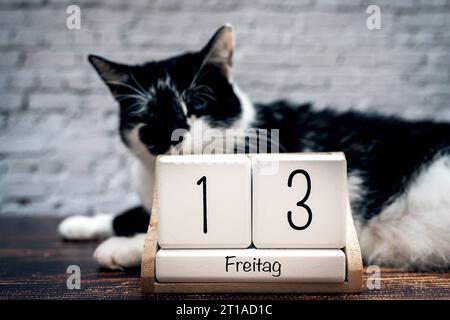 Augsburg, Bavaria, Germany. 12th Oct, 2023. Black cat with a calendar with date Friday the 13th unlucky Friday the thirteenth PHOTOMONTAGE *** Schwarze Katze mit einem Kalender mit Datum Freitag der 13. Unglückstag Freitag der Dreizehnte FOTOMONTAGE Credit: Imago/Alamy Live News Stock Photo