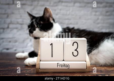 Augsburg, Bavaria, Germany. 12th Oct, 2023. Black cat with a calendar with date Friday the 13th unlucky Friday the thirteenth PHOTOMONTAGE *** Schwarze Katze mit einem Kalender mit Datum Freitag der 13. Unglückstag Freitag der Dreizehnte FOTOMONTAGE Credit: Imago/Alamy Live News Stock Photo