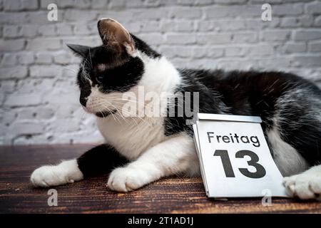 Augsburg, Bavaria, Germany. 12th Oct, 2023. Black cat with a calendar with date Friday the 13th unlucky Friday the thirteenth PHOTOMONTAGE *** Schwarze Katze mit einem Kalender mit Datum Freitag der 13. Unglückstag Freitag der Dreizehnte FOTOMONTAGE Credit: Imago/Alamy Live News Stock Photo