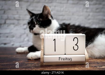 Augsburg, Bavaria, Germany. 12th Oct, 2023. Black cat with a calendar with date Friday the 13th unlucky Friday the thirteenth PHOTOMONTAGE *** Schwarze Katze mit einem Kalender mit Datum Freitag der 13. Unglückstag Freitag der Dreizehnte FOTOMONTAGE Credit: Imago/Alamy Live News Stock Photo