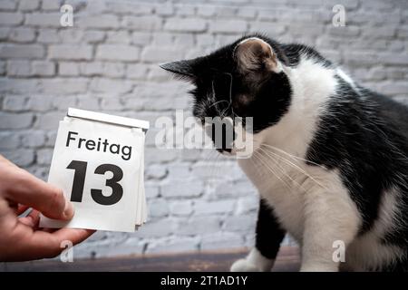 Augsburg, Bavaria, Germany. 12th Oct, 2023. Black cat with a calendar with date Friday the 13th unlucky Friday the thirteenth PHOTOMONTAGE *** Schwarze Katze mit einem Kalender mit Datum Freitag der 13. Unglückstag Freitag der Dreizehnte FOTOMONTAGE Credit: Imago/Alamy Live News Stock Photo