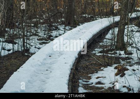 wooden path through the forest covered with snow during winter season Stock Photo