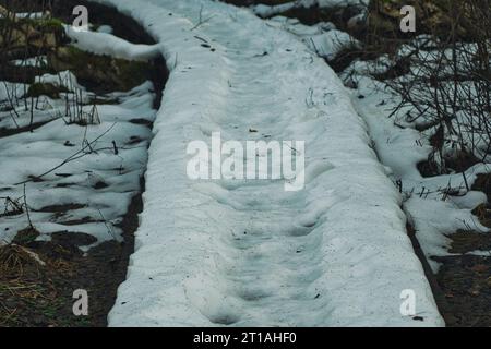 wooden path through the forest covered with snow during winter season Stock Photo