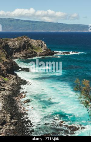 Golden sands meet turquoise waves in this Hawaiian paradise. Palm trees sway under the endless blue sky, inviting you to unwind on the tranquil beach. Stock Photo