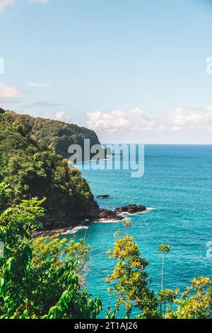 Golden sands meet turquoise waves in this Hawaiian paradise. Palm trees sway under the endless blue sky, inviting you to unwind on the tranquil beach. Stock Photo