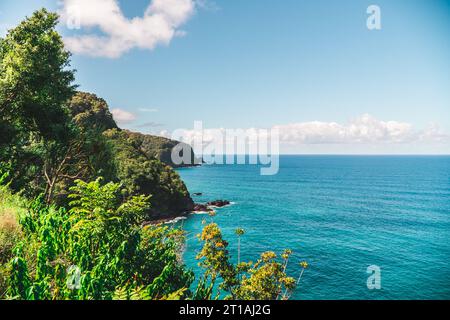 Golden sands meet turquoise waves in this Hawaiian paradise. Palm trees sway under the endless blue sky, inviting you to unwind on the tranquil beach. Stock Photo