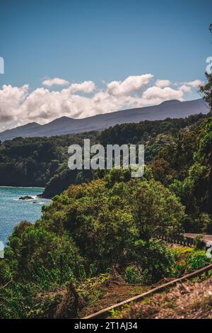 Golden sands meet turquoise waves in this Hawaiian paradise. Palm trees sway under the endless blue sky, inviting you to unwind on the tranquil beach. Stock Photo