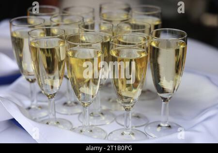 Alkohol 07.10.2023, Erfurt, gefuellte Sektglaeser auf einem Tablett *** Alcohol 07 10 2023, Erfurt, filled champagne glasses on a tray Credit: Imago/Alamy Live News Stock Photo