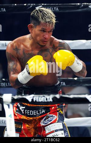 Ariake Arena Tokyo, Japan. 12th Oct, 2023. John Riel Casimero, OCTOBER 12, 2023 - Boxing : 10R Super Bantamweight bout at Ariake Arena Tokyo, Japan. Credit: Naoki Nishimura/AFLO SPORT/Alamy Live News Stock Photo