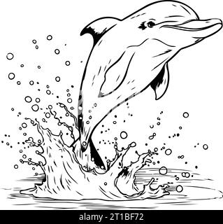 Dolphin jumping out of water. Black and white vector illustration. Stock Vector