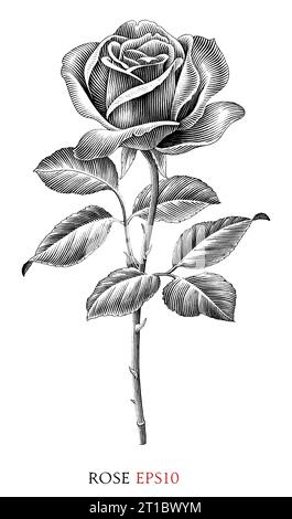 Rose vintage illustration black and white clip art Stock Vector