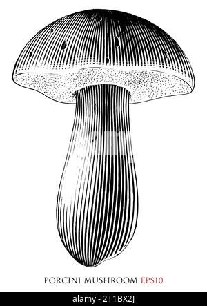 Porcini mushroom vintage illustration black and white clip art Stock Vector