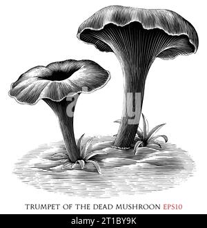 Trumpet of the dead botanical vintage illustration black and white clip art Stock Vector