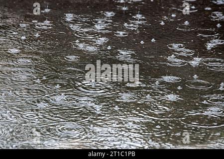 raindrops and circles in a puddle with bubbles on the water. rainy background. Stock Photo